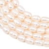 Natural Cultured Freshwater Pearl Beads Strands PEAR-D003-01D-07-4