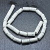 Natural Howlite Beads Strands G-F631-F03-2