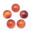 Natural Carnelian Cabochons G-P393-R41-12mm-1