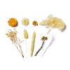 Dried Flowers DIY-D052-20-2