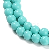 Synthetic Turquoise Beads Strands G-U004-02N-4