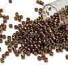 TOHO 6/0 Round Beads SEED-TR06-0514-1