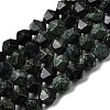 Natural Kambaba Jasper Beads Strands G-Z119-A20-03-3