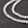 Natural Rainbow Moonstone Bead Strand G-G680-53-3