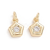 Brass Micro Pave Cubic Zirconia Pendants X-ZIRC-G165-06G-1