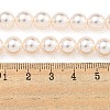 Glass Pearl Beads Strands HY-G002-01D-03-5