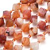 Natural Weathered Agate Beads Strands G-A321-G02-01-2