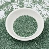 MIYUKI Delica Beads SEED-JP0008-DB2190-2