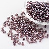 Round 6/0 Glass Seed Beads X-SEED-A006-4mm-116-1