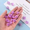 Transparent Acrylic Beads PLF018-04-6