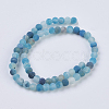 Natural Weathered Agate Beads Strands G-G589-6mm-14-2