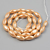 Electroplate Natural Freshwater Shell Beads Strands SHEL-T017-13B-2