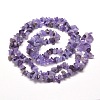 1 Strand Natural Amethyst Chip Bead Strands G-DJ0001-04-2