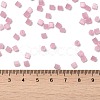 Glass Seed Beads SEED-H002-D-A808-4