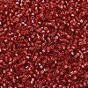 MIYUKI Delica Beads X-SEED-J020-DB2159-3