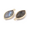Natural Labradorite Pendants G-L514-023G-2