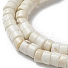 Natural Howlite Beads Strands G-E604-A01-C-4