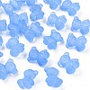 Transparent Acrylic Beads X-MACR-S373-80-D-2