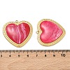 304 Stainless Steel Resin Pendants STAS-C174-19G-05-3