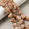 Electroplated Natural Druzy Agate Beads Strands G-G289-02D-1