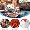 3Pcs 3 Styles Ceramic Display Decorations DJEW-GF0001-73-6