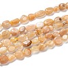 Natural Sunstone Beads Strands G-G018-18B-1