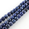 Dyed Natural Sesame Jasper Round Beads Strands G-R342-6mm-12-1