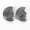 Natural Labradorite Beads G-T132-030-2