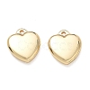 304 Stainless Steel Charms SA-CBA3037-20G-05-1