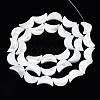 Natural Trochid Shell/Trochus Shell Beads Strands SSHEL-N034-97B-B01-2
