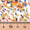 12/0 Round Glass Seed Beads SEED-US0003-2mm-TR-3