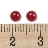 Natural White Jade Dyed Cabochons G-H309-03-23-3