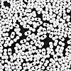 Baking Paint Glass Seed Beads SEED-A033-04M-3