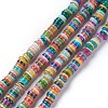 Natural Freshwater Shell Beads Strands X-BSHE-I016-04F-1