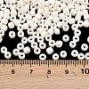 TOHO 6/0 Round Beads X-SEED-TR06-0123L-4