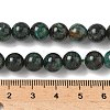 Natural Fuchsite Beads Strands G-G271-B03-8mm-5