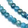 Natural Apatite Beads Strands G-E530-07AK-3