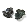Natural Labradorite Carved Cabochons G-C152-08-2