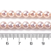 UV Plating Pearlized Glass Pearl Beads Strands GLAA-F128-01A-T09-2