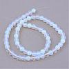 Opalite Beads Strands G-Q462-8mm-31-2