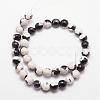 Natural Fire Crackle Agate Bead Strands G-K166-06F-10mm-12-2