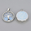 Opalite Pendants G-S292-10N-P-2