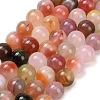 Natural Agate Beads Strands G-F814-A02-12mm-2