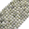 Natural Labradorite Beads Strands G-P573-A55-01-2