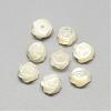 Natural White Shell Mother of Pearl Shell Cabochons SSHEL-R042-10-1