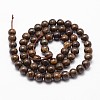 Natural Bronzite Bead Strands G-D840-57-10mm-2