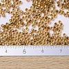 MIYUKI Delica Beads Small SEED-X0054-DBS0181-4