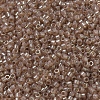 MIYUKI Delica Beads Small X-SEED-J020-DBS0102-3