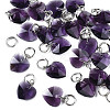 Faceted Transparent Glass Charms GLAA-T024-04-2