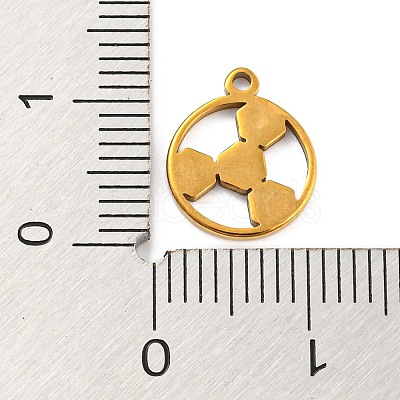 304 Stainless Steel Charms STAS-Q306-01G-D-1